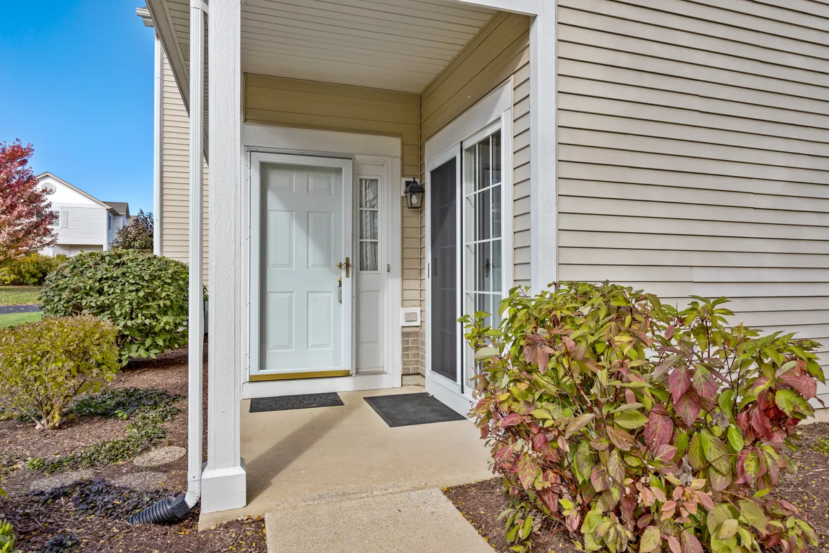 169 Braxton Lane IL