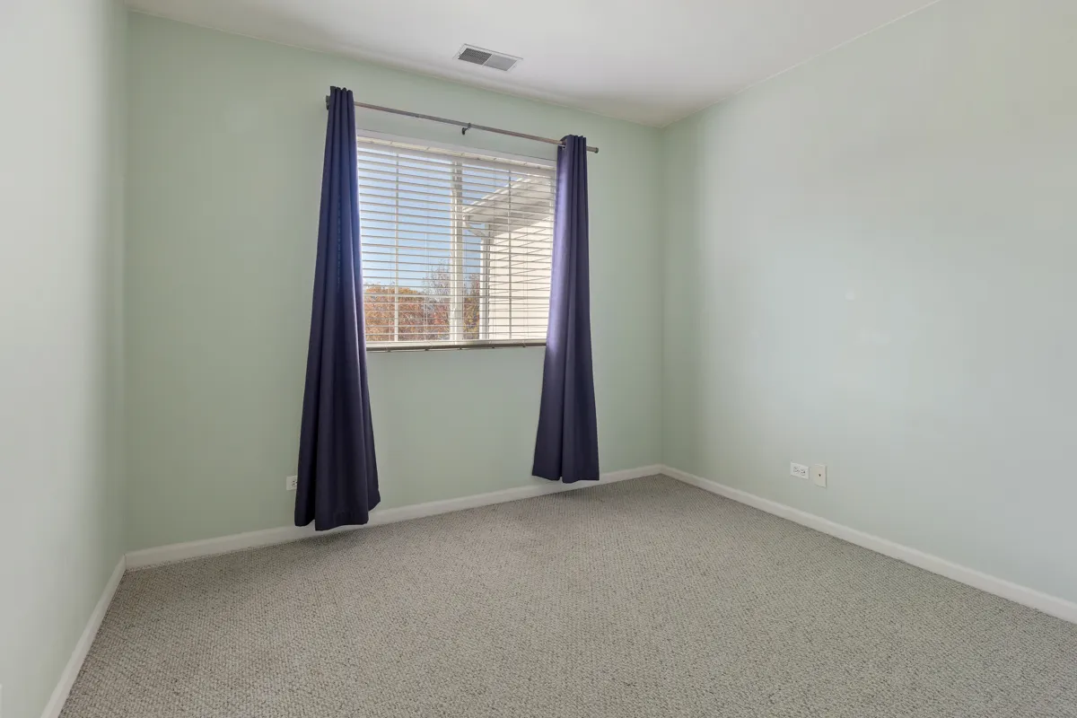 169 Braxton Lane IL