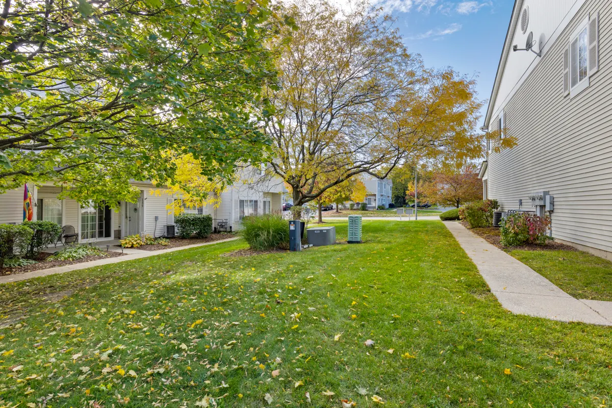 169 Braxton Lane IL