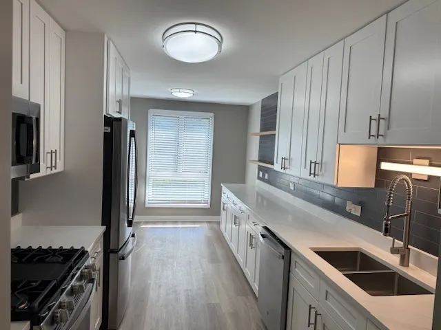 1910 Chestnut Avenue D306 IL