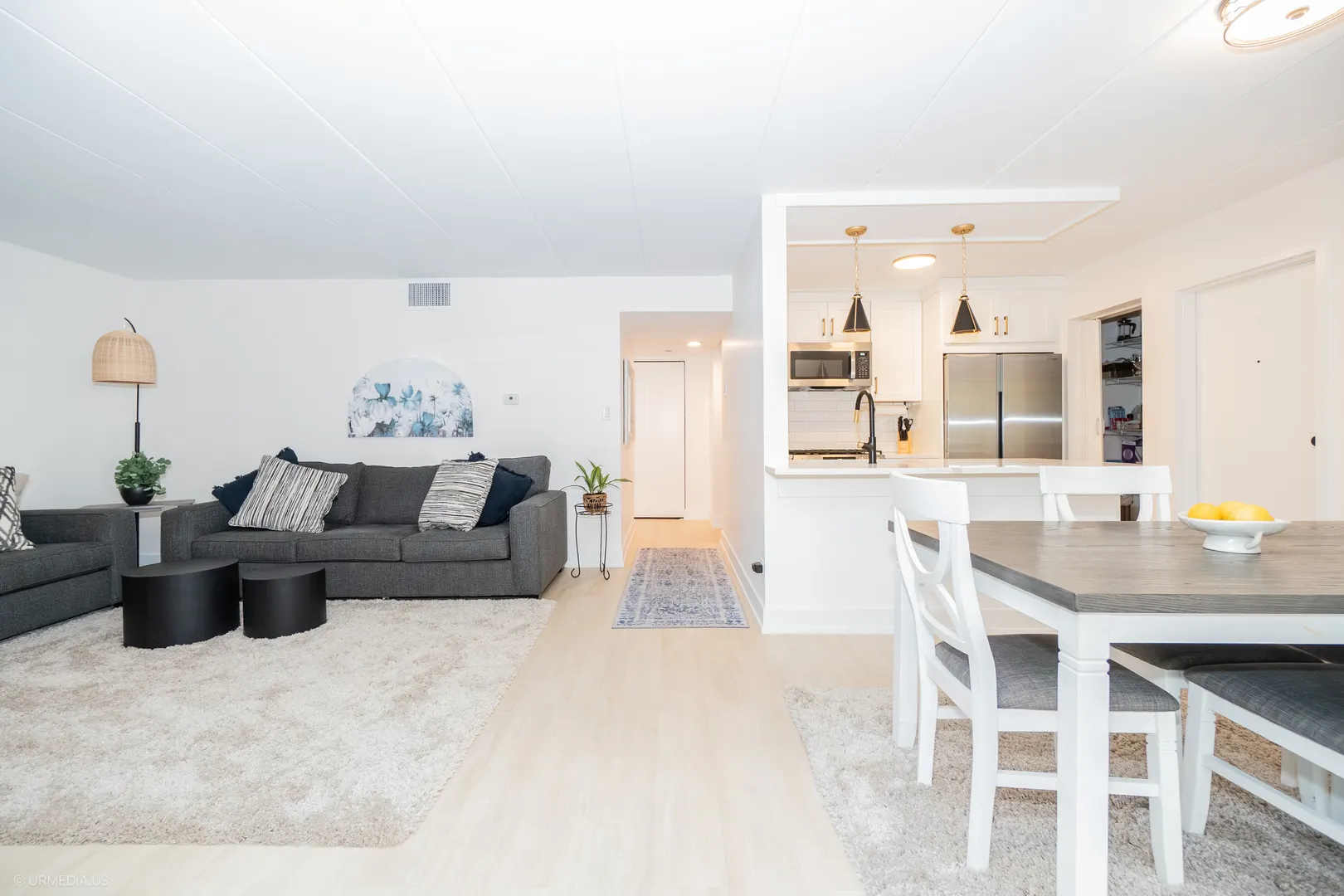 10 E Fountainview Lane 1B IL