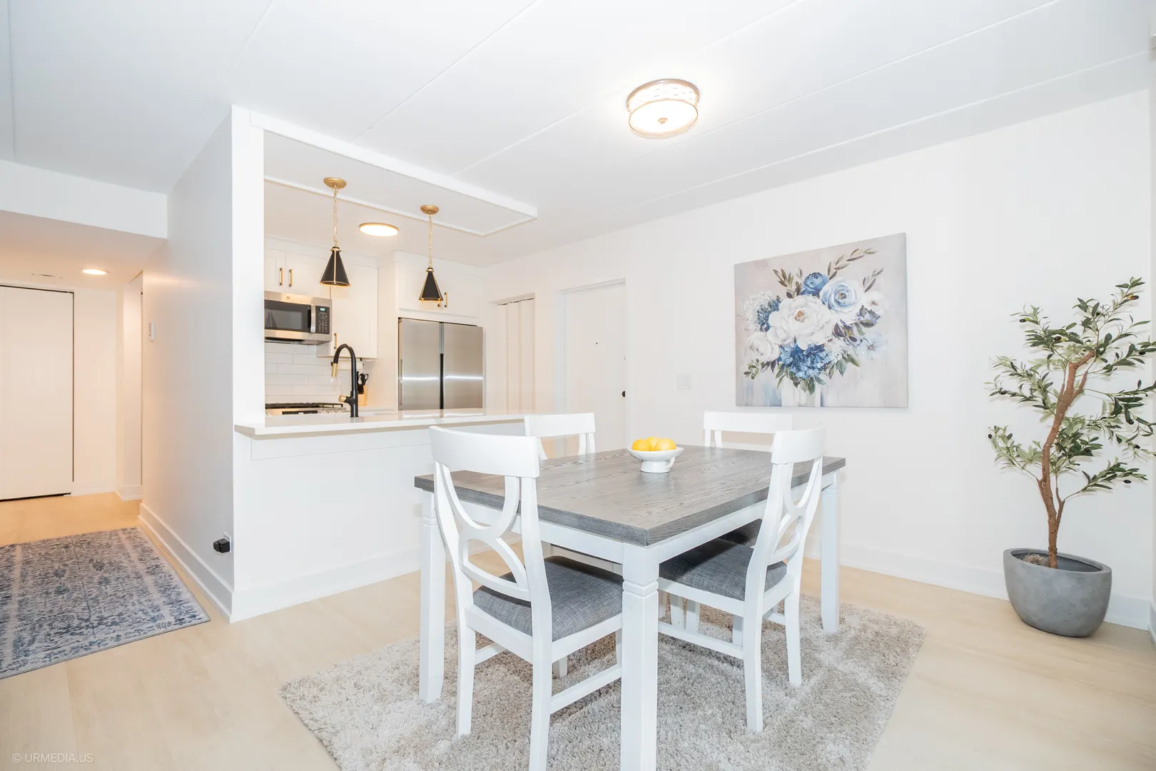 10 E Fountainview Lane 1B IL
