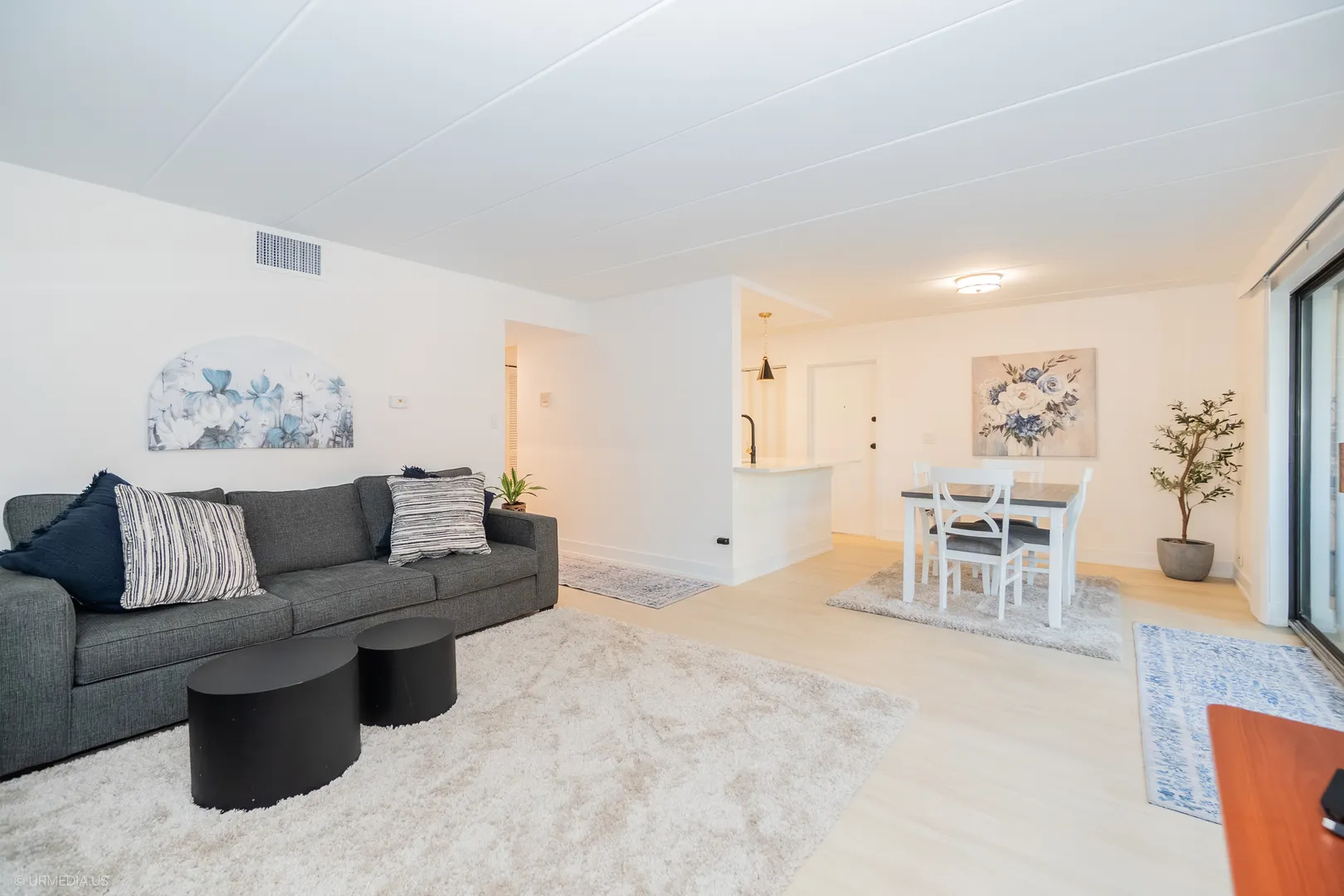 10 E Fountainview Lane 1B IL