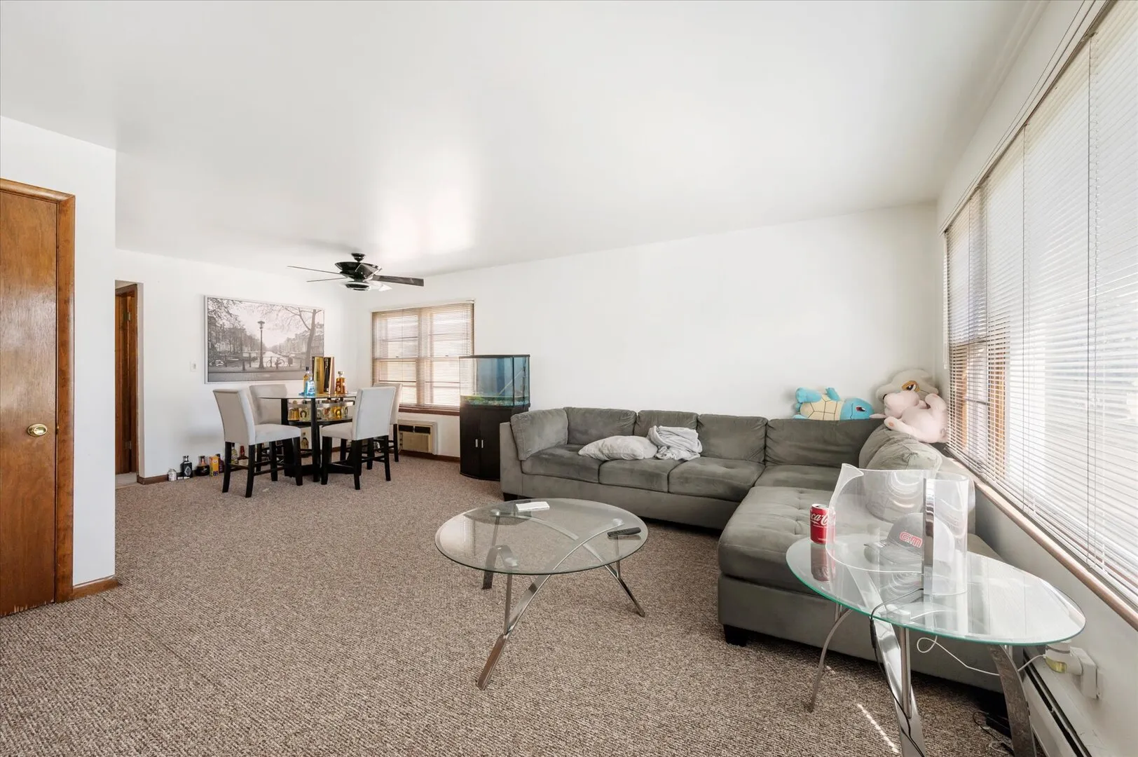 1114 N 11th Avenue IL