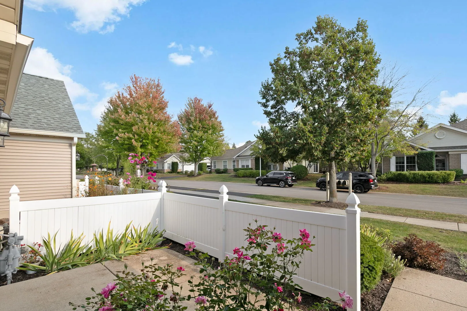 272 Enfield Lane IL