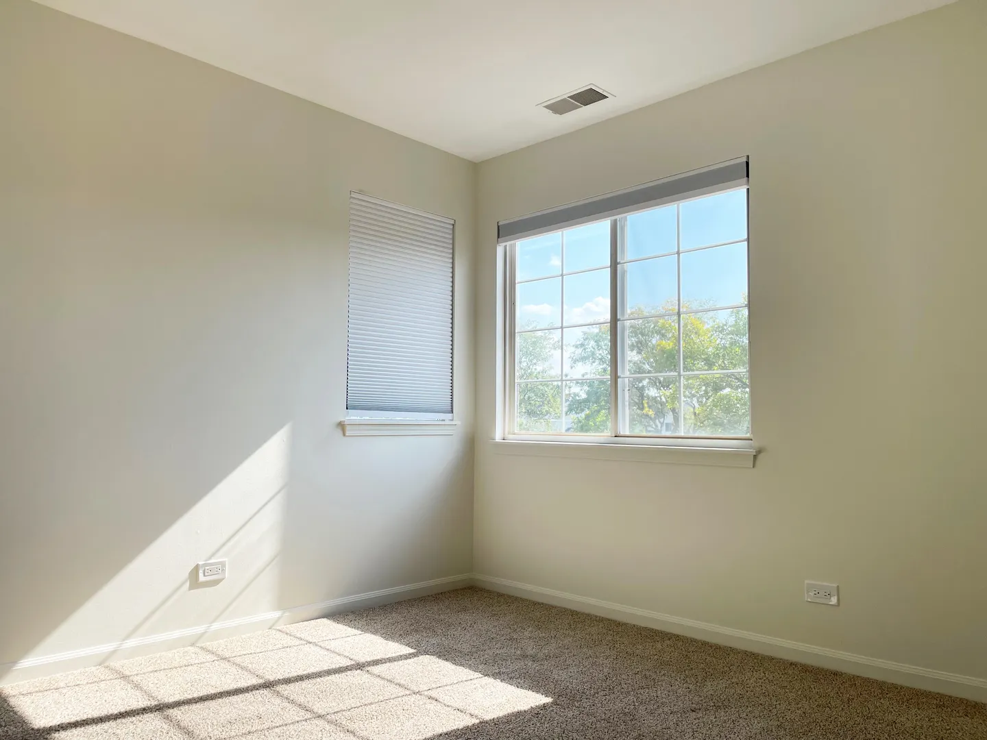8122 Ripple ridge Drive IL