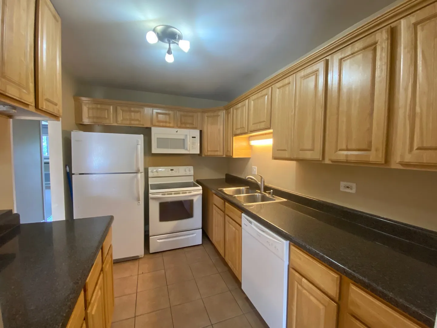 442 E OSAGE Lane 3B IL
