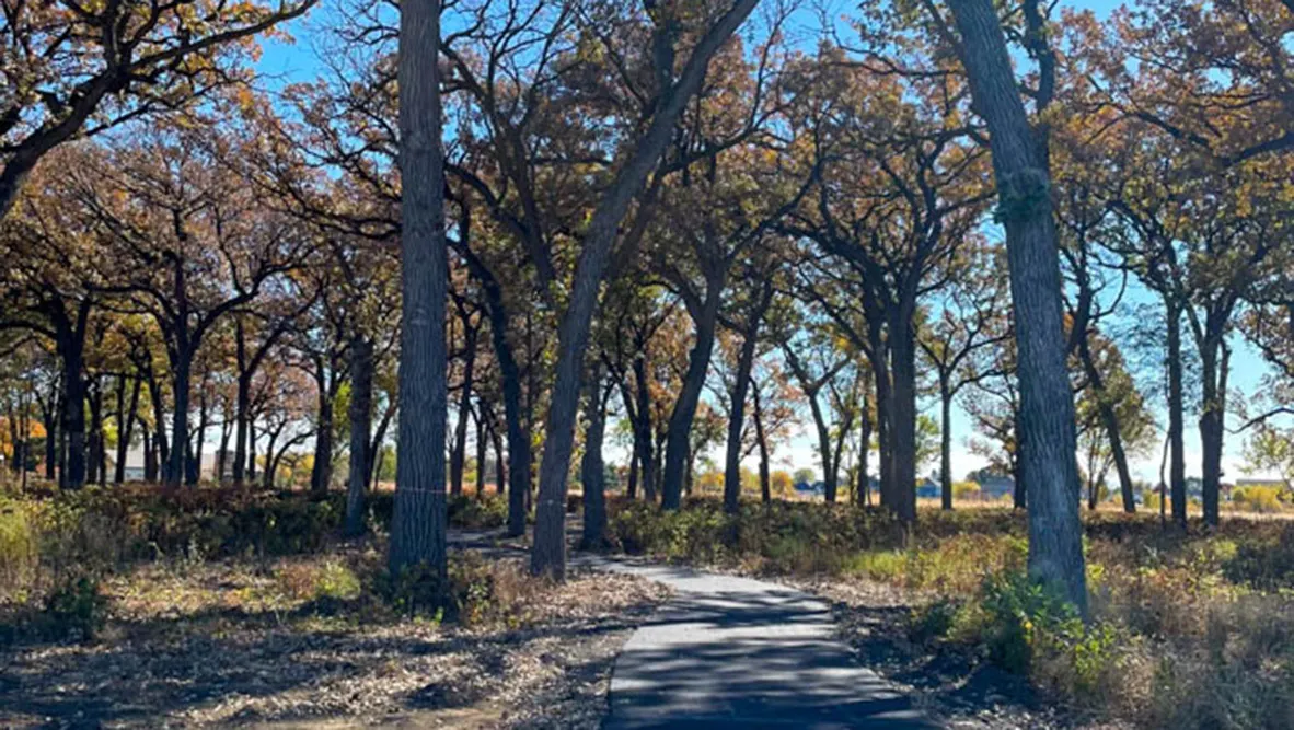 504 Autumn Moor Trail IL
