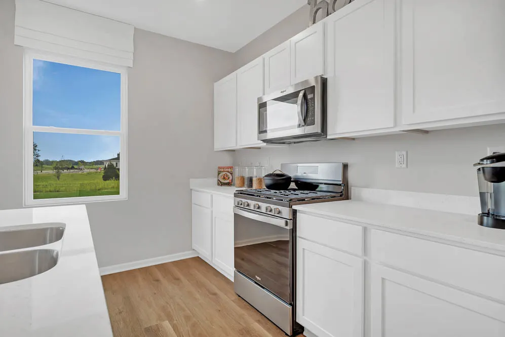 504 Autumn Moor Trail IL