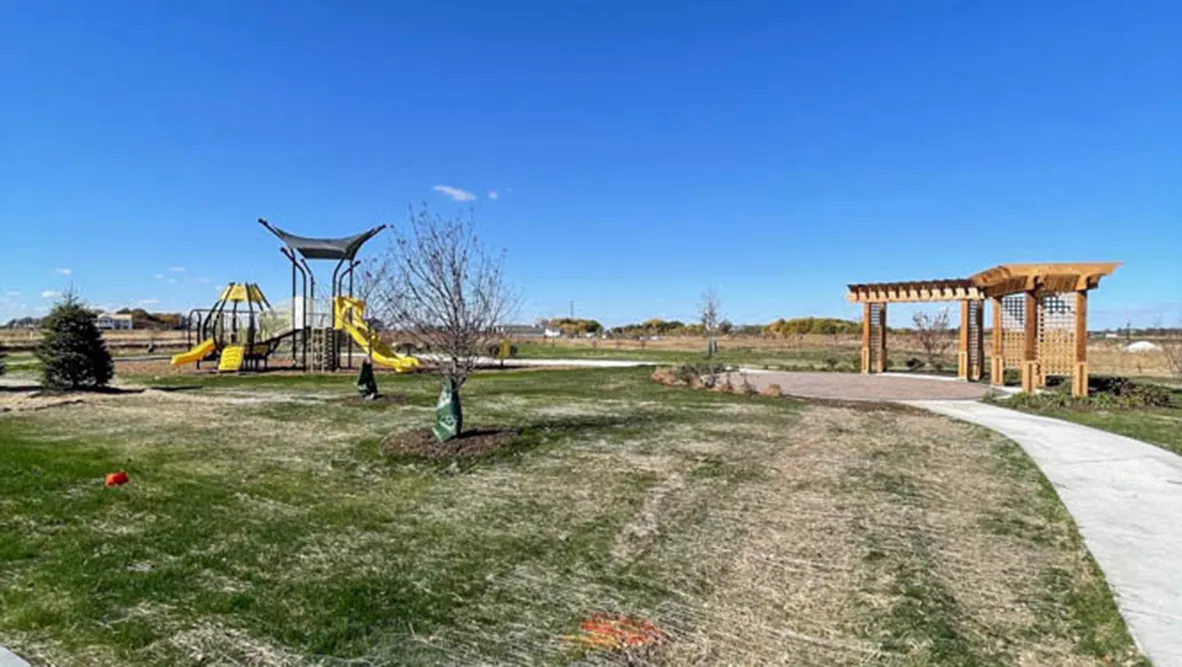504 Autumn Moor Trail IL