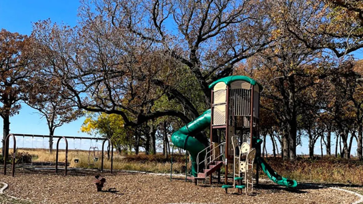 504 Autumn Moor Trail IL