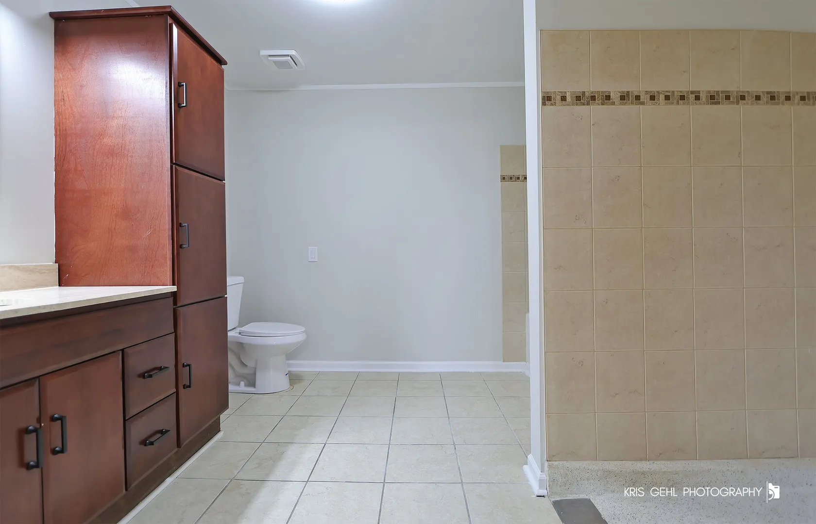3139 Casimer Pulaski Drive IL