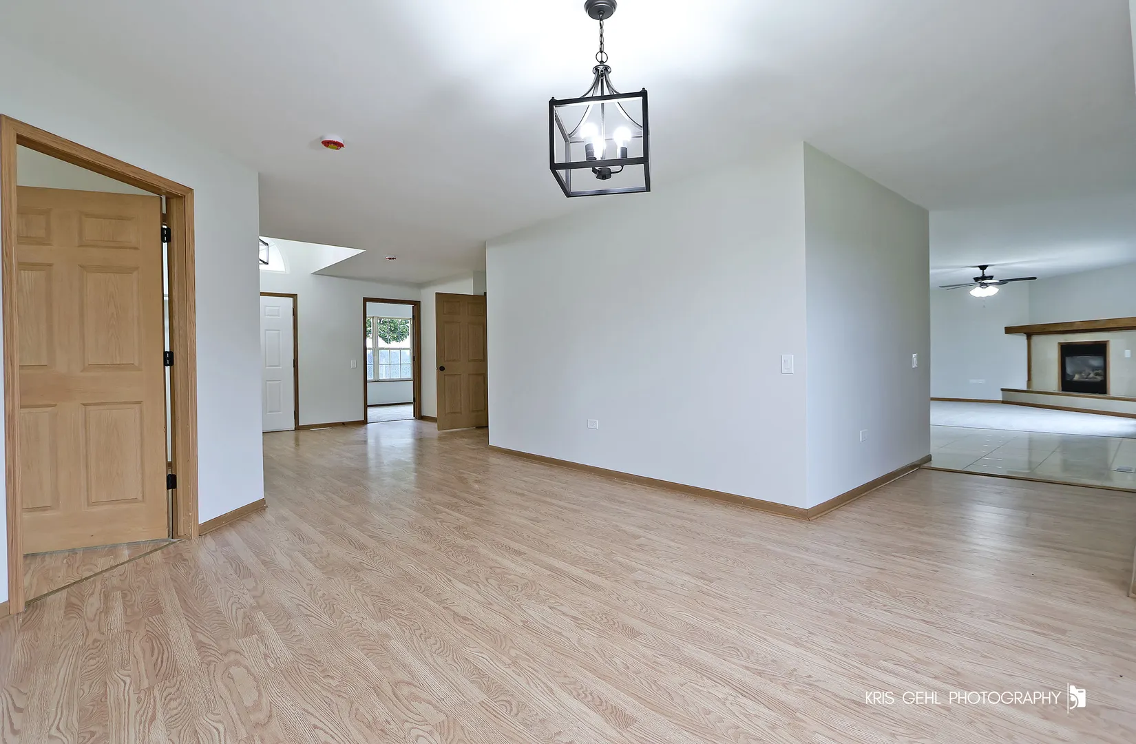 3139 Casimer Pulaski Drive IL