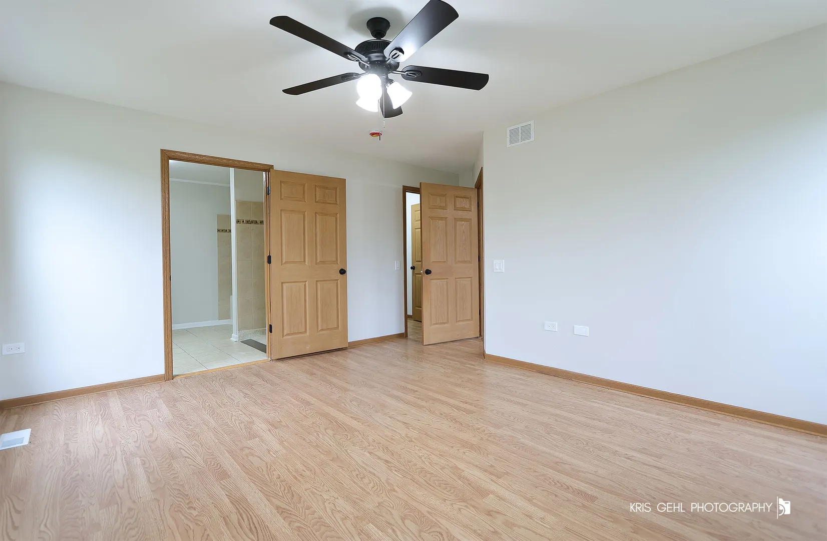 3139 Casimer Pulaski Drive IL