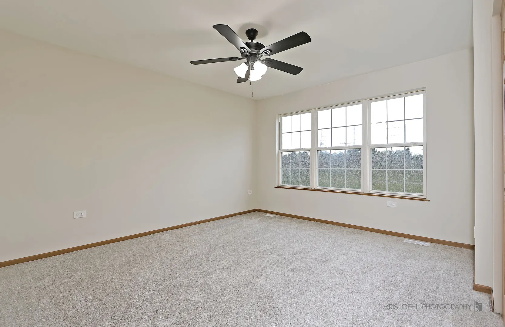 3139 Casimer Pulaski Drive IL