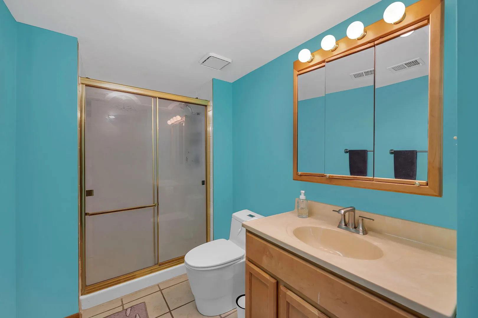 6919 177th Street IL