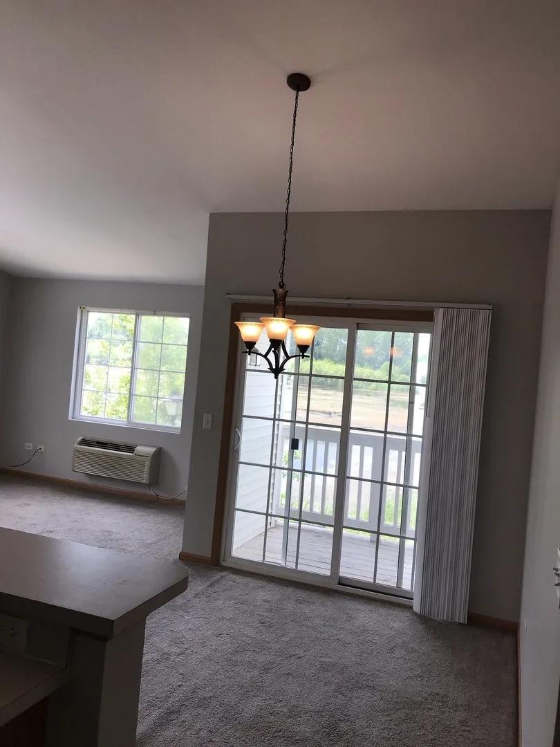 1131 Silverstone Drive 1131 IL