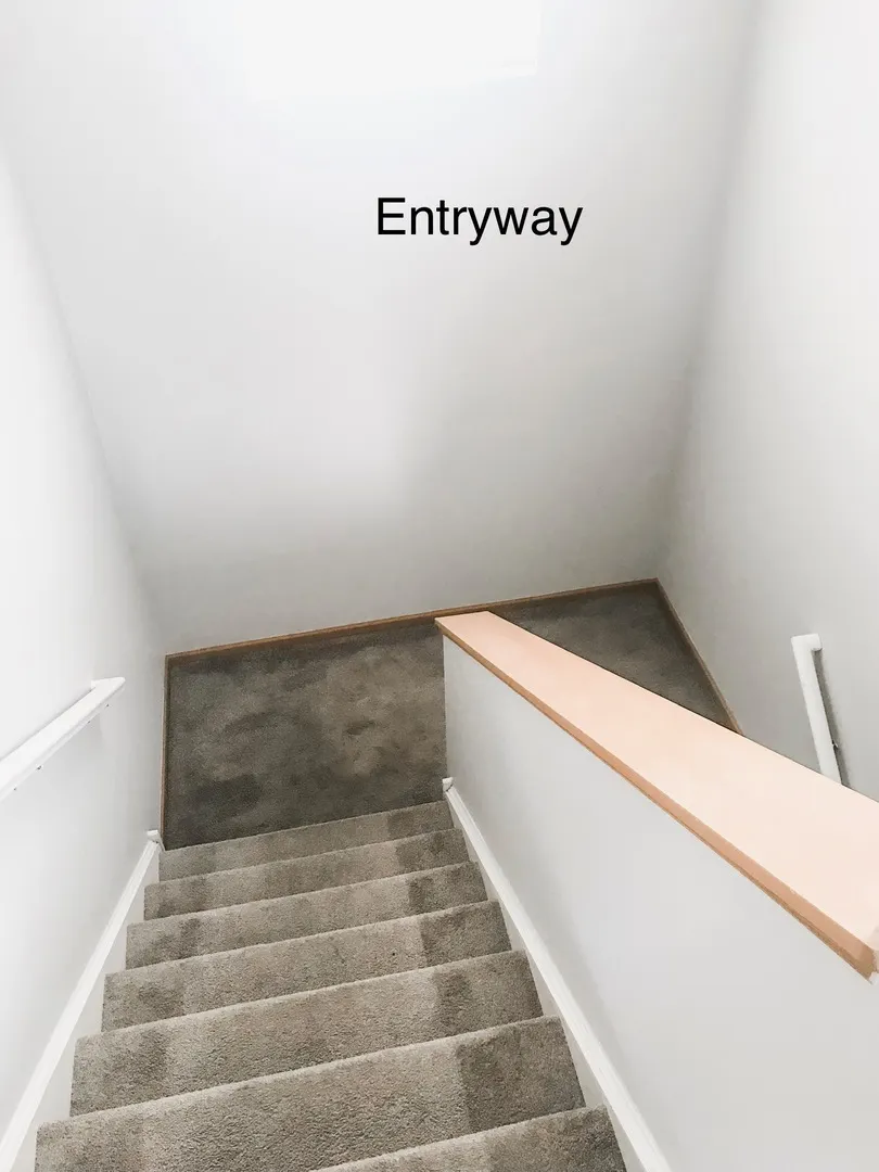 1131 Silverstone Drive 1131 IL