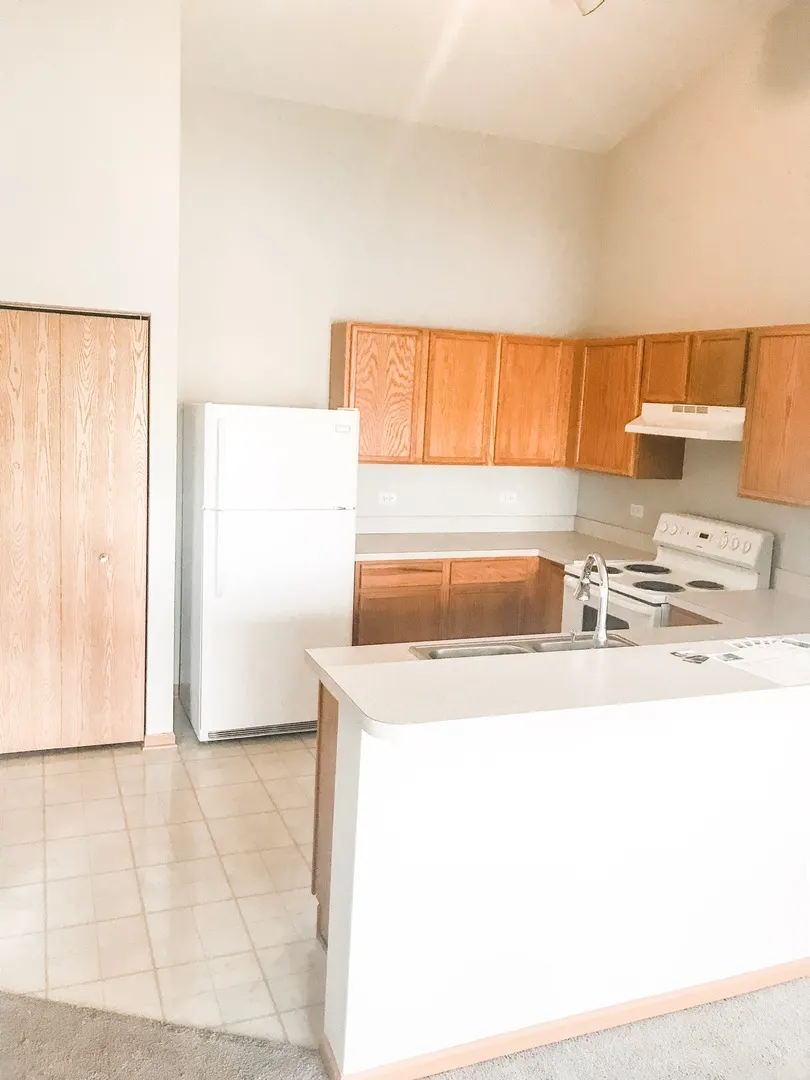 1131 Silverstone Drive 1131 IL