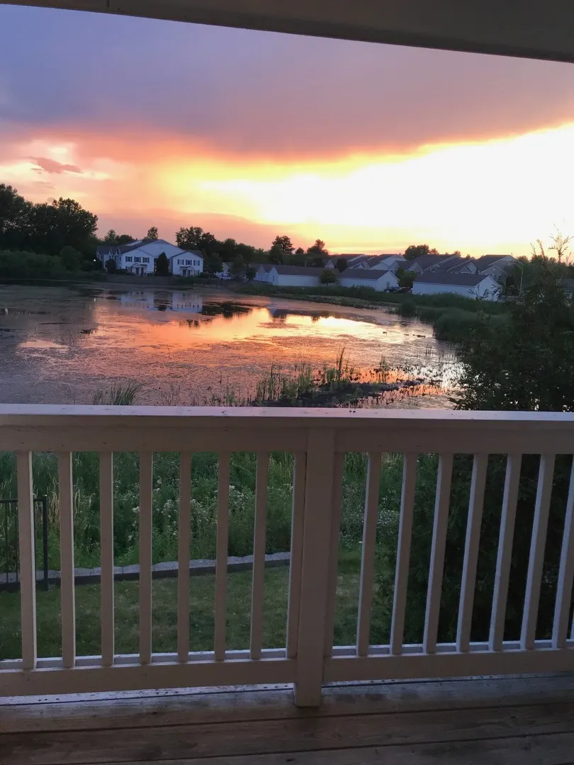 1131 Silverstone Drive 1131 IL