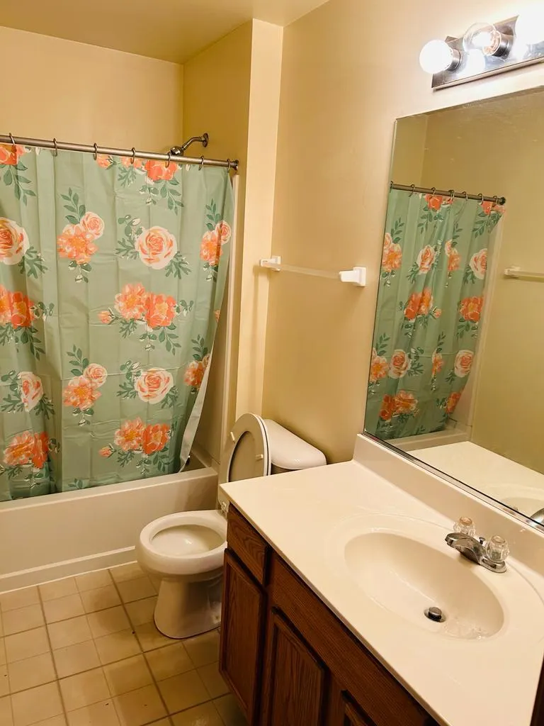 1131 Silverstone Drive 1131 IL