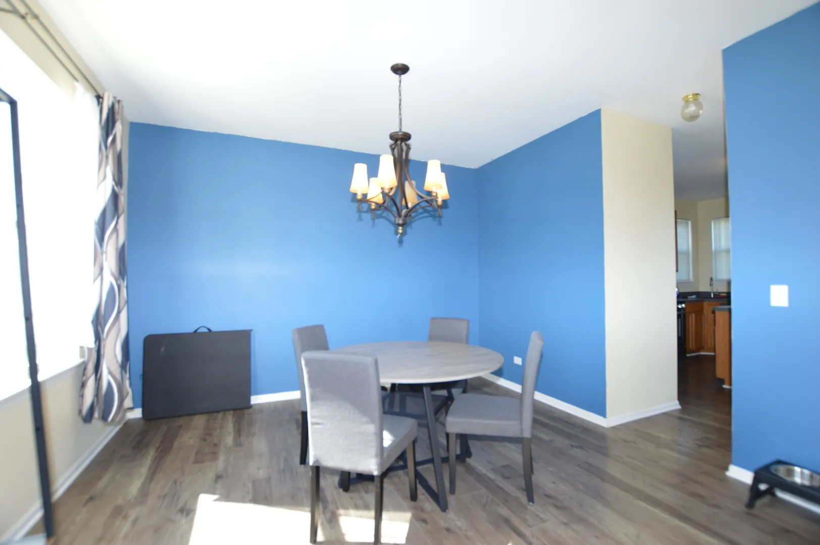 1703 Cashel Lane IL