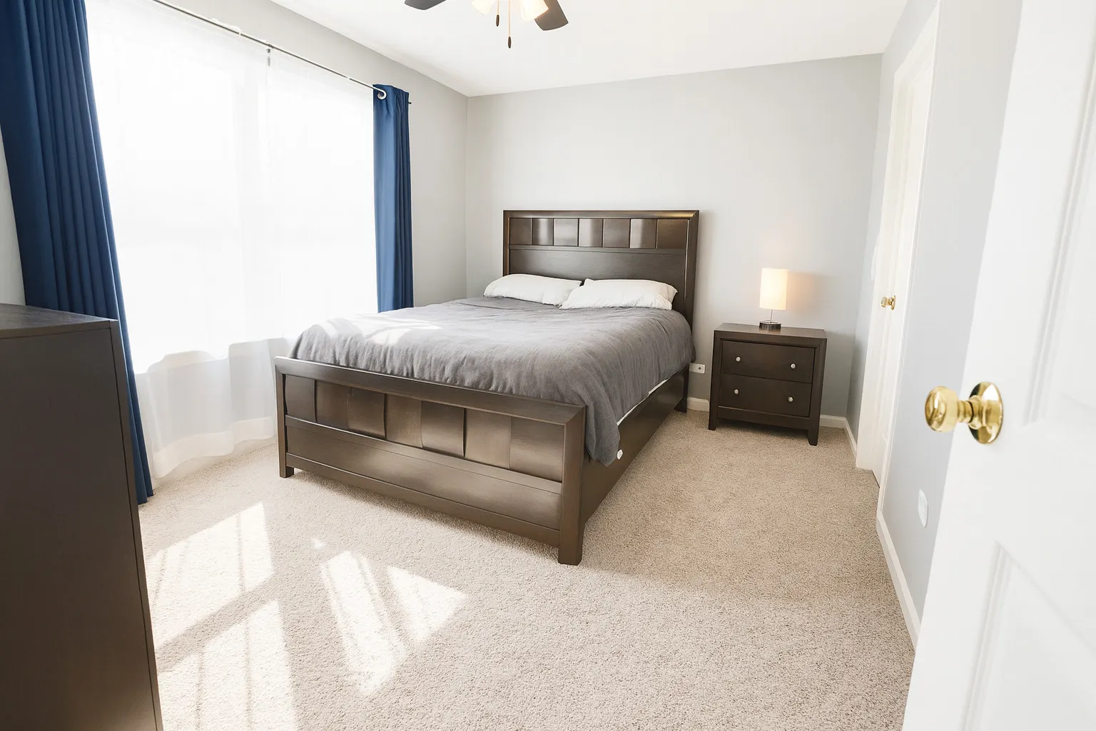 1703 Cashel Lane IL