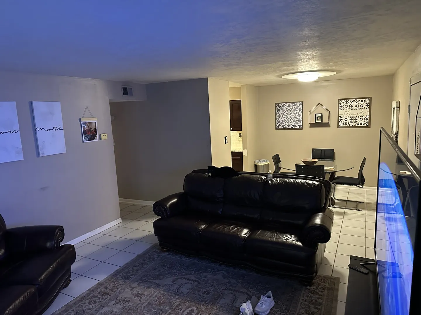 6145 KNOLLWOOD Court 101 IL