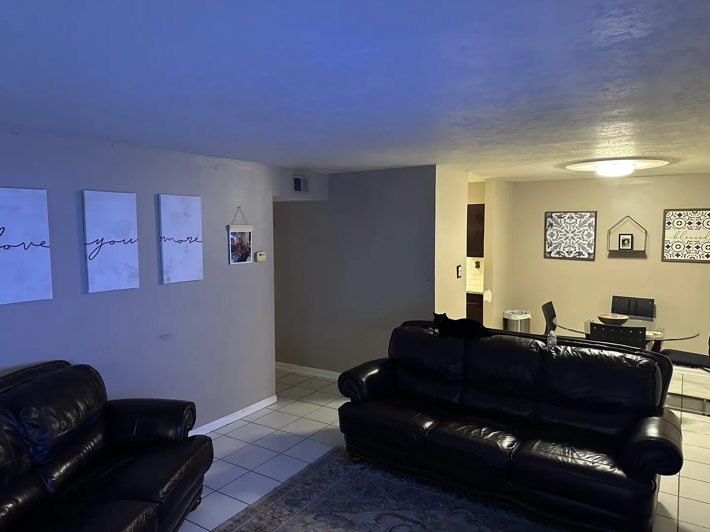 6145 KNOLLWOOD Court 101 IL