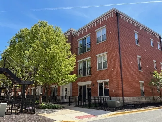 343 E 25TH Place 18C IL
