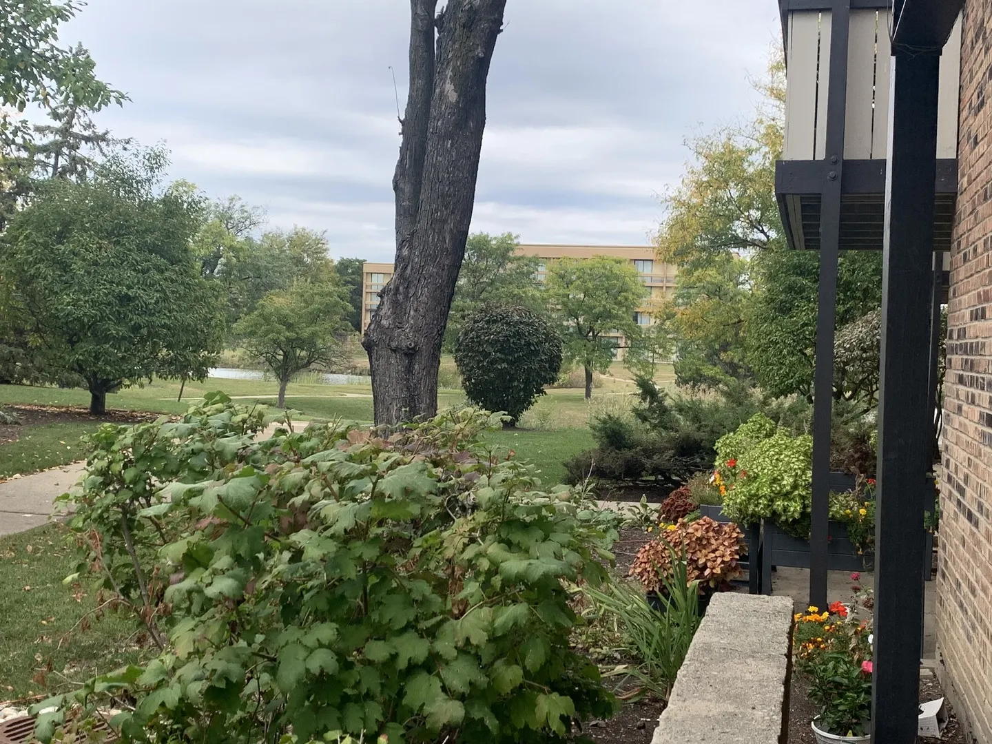 1813 Hemlock Place 107 IL