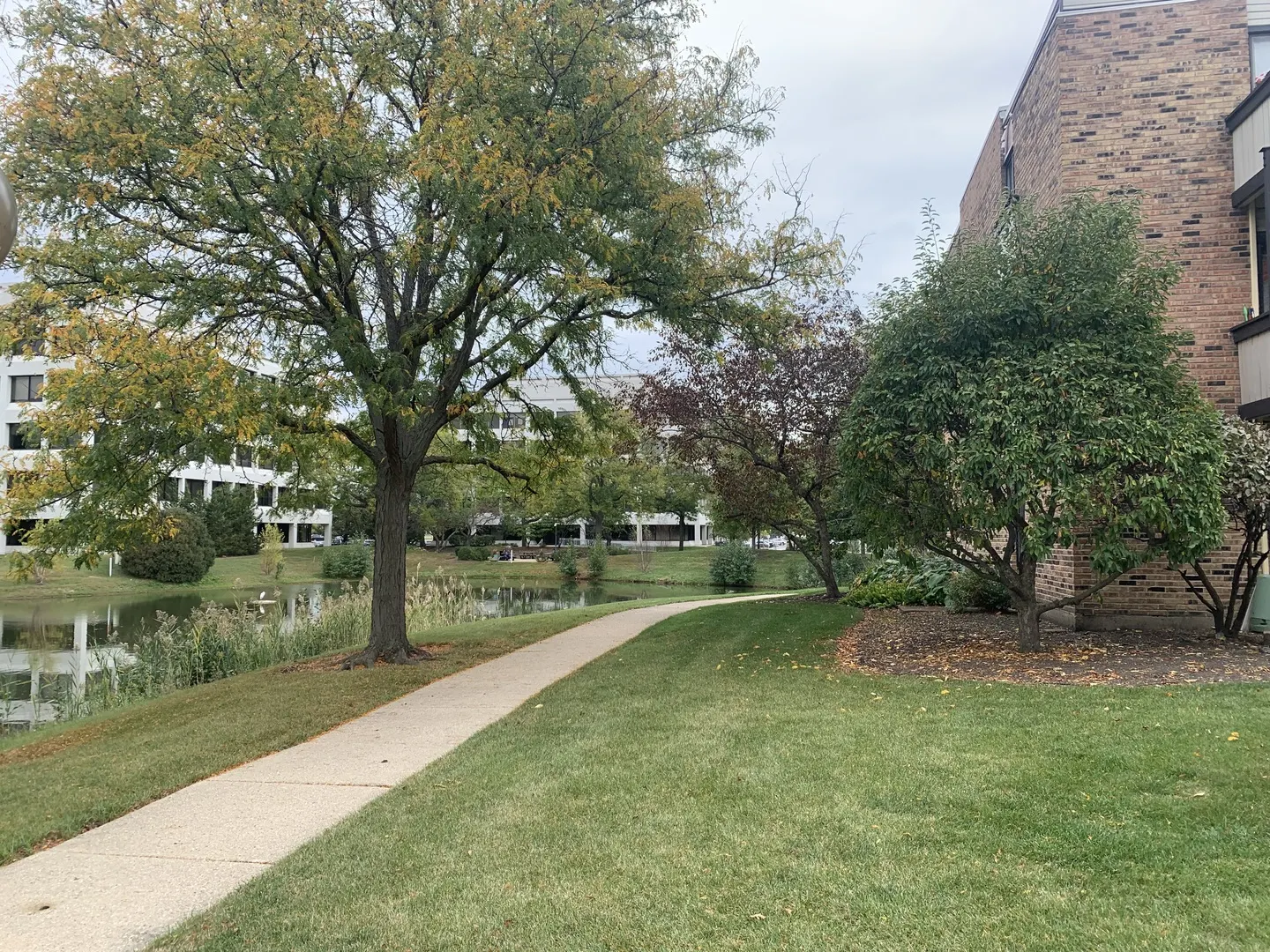 1813 Hemlock Place 107 IL