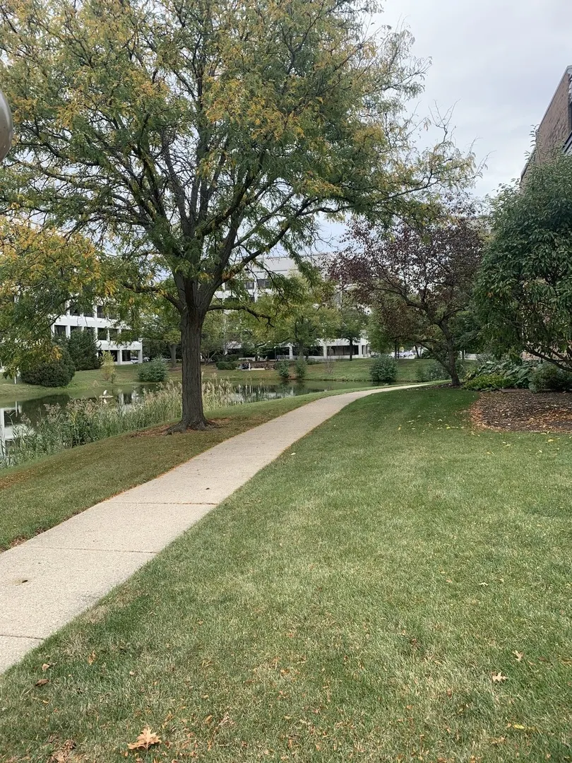 1813 Hemlock Place 107 IL