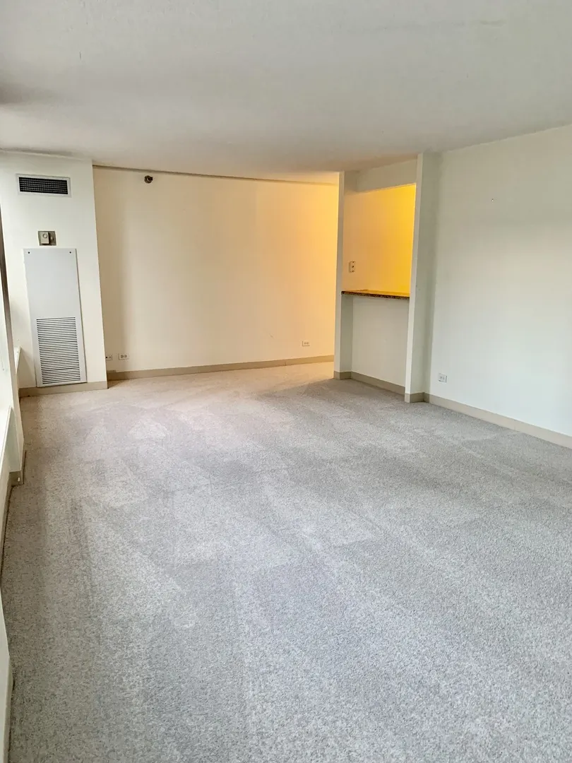 440 N Wabash Avenue 1704 IL