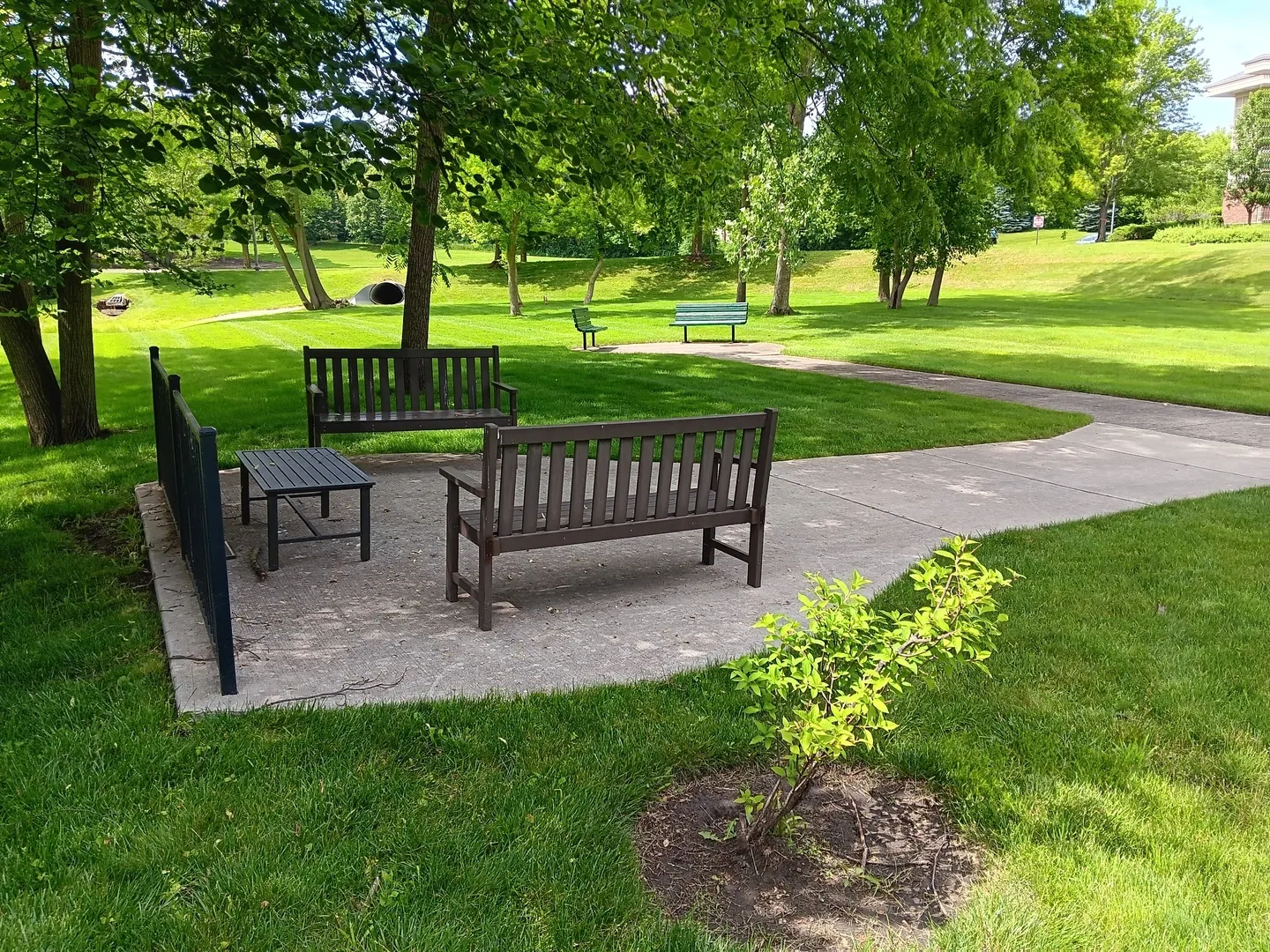801 N Mclean Boulevard 122 IL