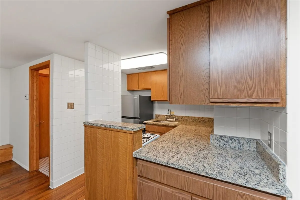 534 W Belden Avenue 1C IL