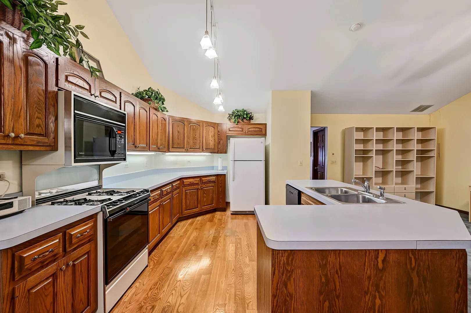 1121 Lodgepole Court 1121 IL