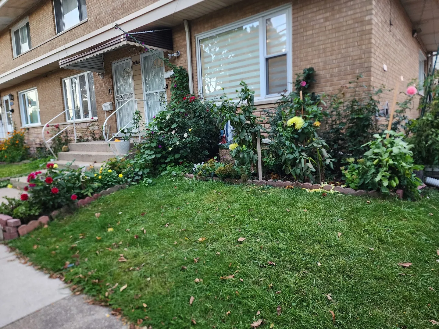 7638 Knox Avenue IL