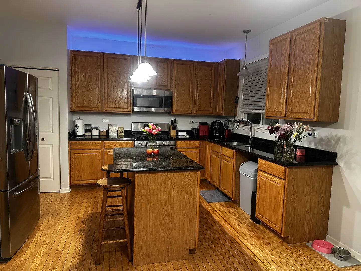 709 Winterberry Drive IL