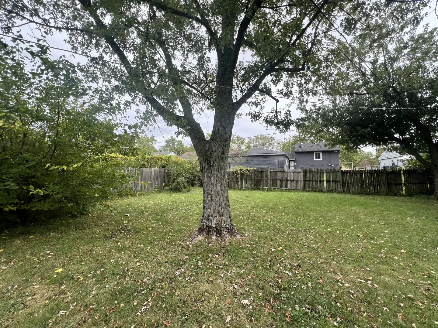 22239 Peach Tree Avenue IL