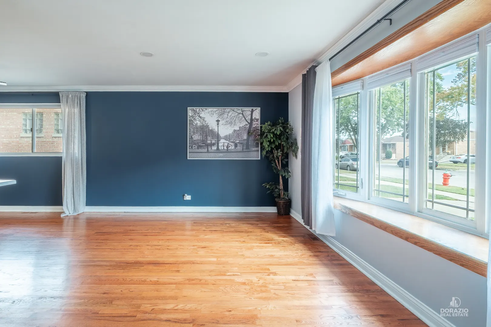 8738 S Troy Avenue IL