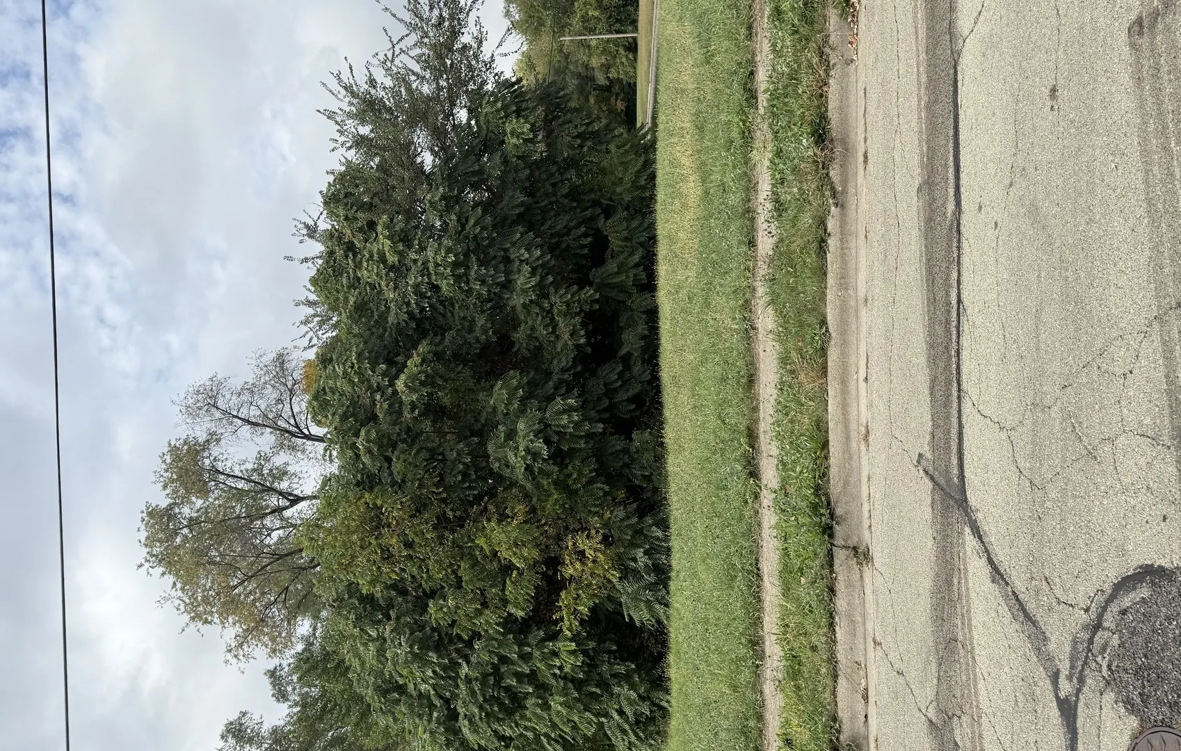 705 Newport Avenue IL