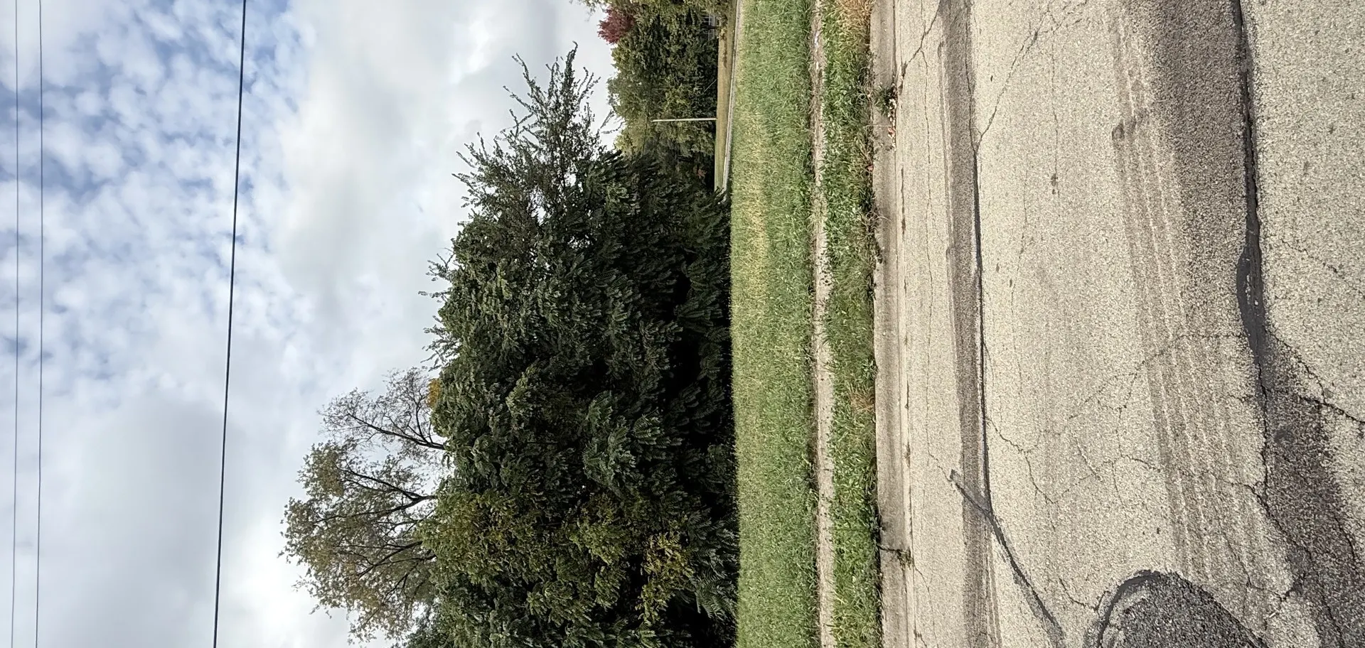 705 Newport Avenue IL