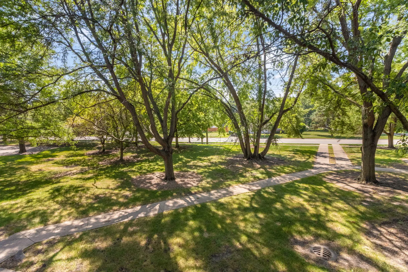 3119 Ingalls Avenue 2A IL
