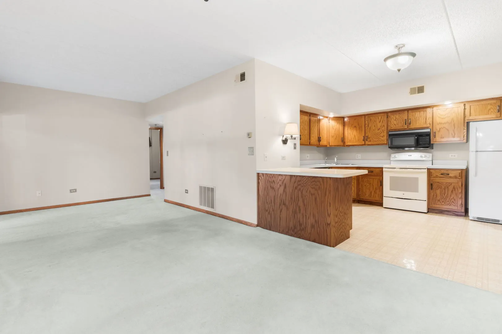 3119 Ingalls Avenue 2A IL