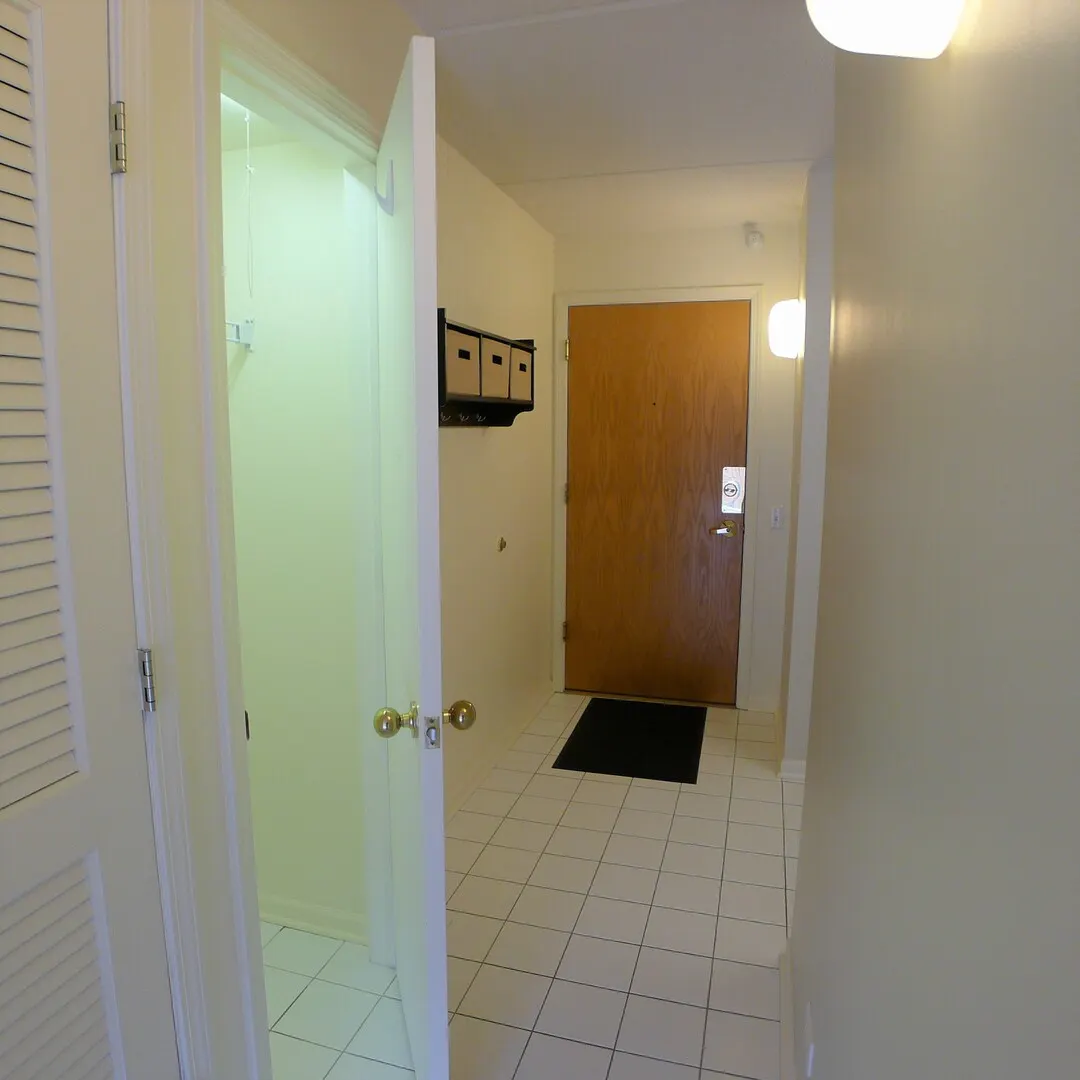 811 CHICAGO Avenue 407 IL