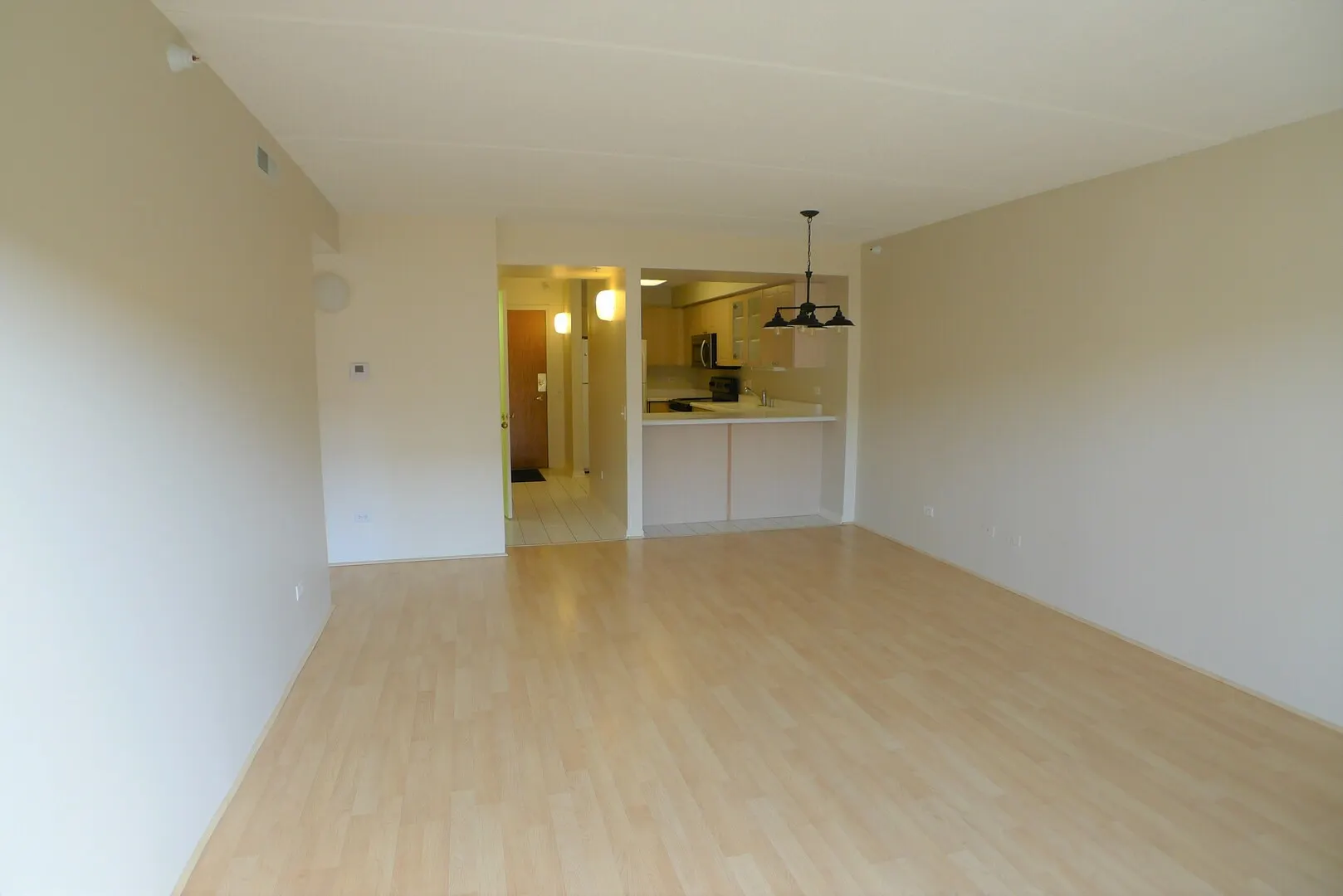 811 CHICAGO Avenue 407 IL