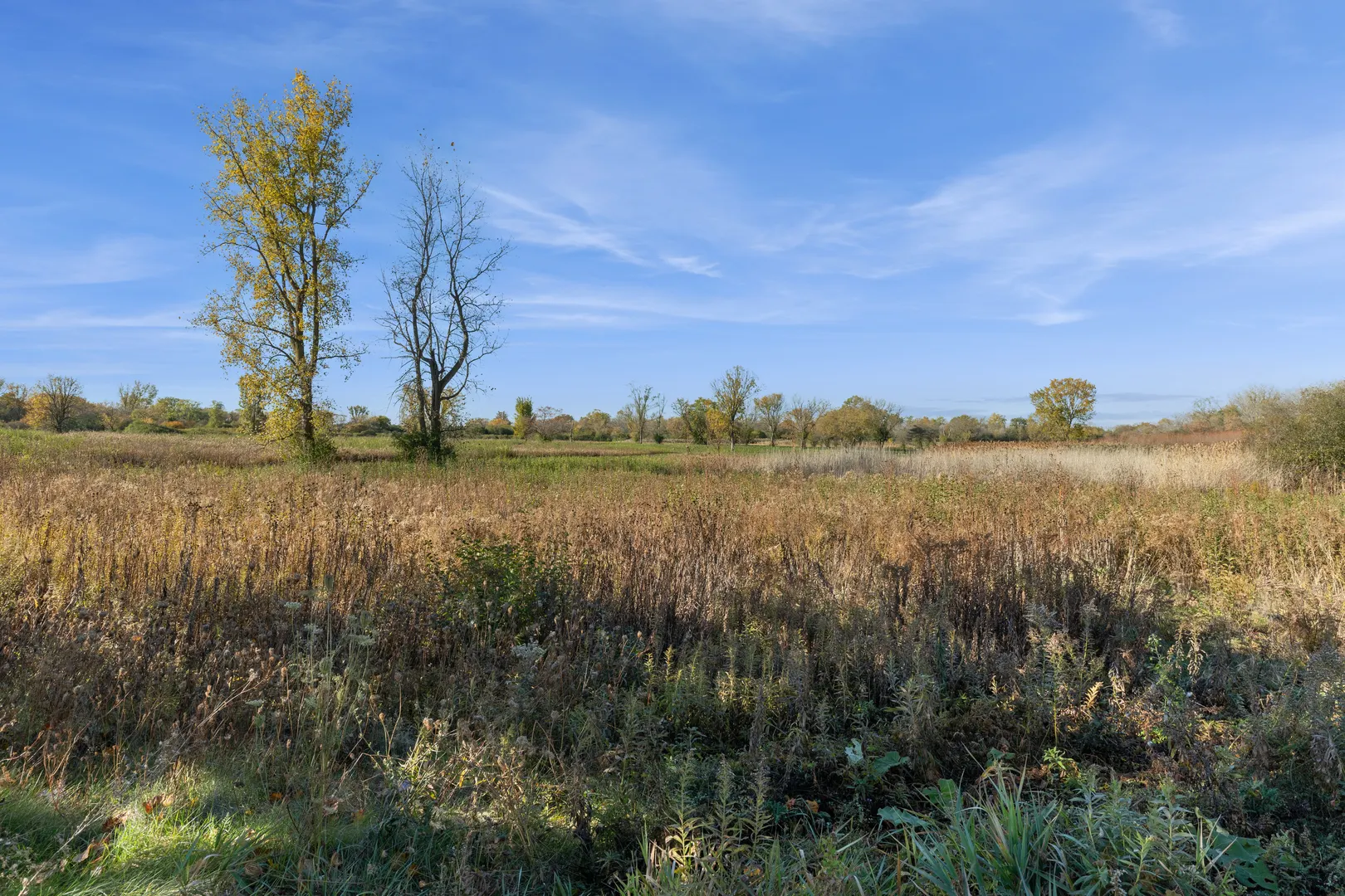 837 Pahl Road 837 IL