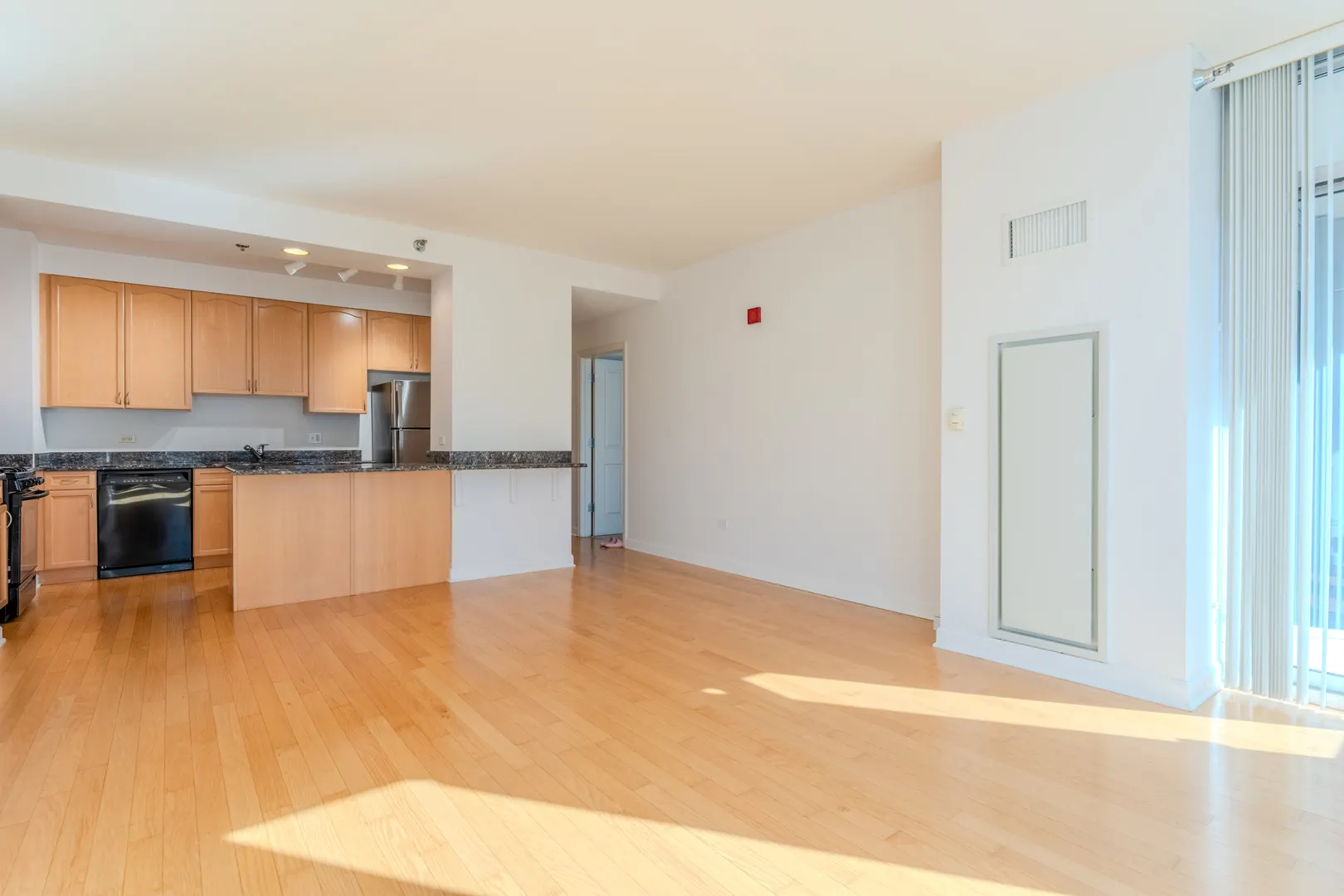 1250 S Michigan Avenue 2104 IL
