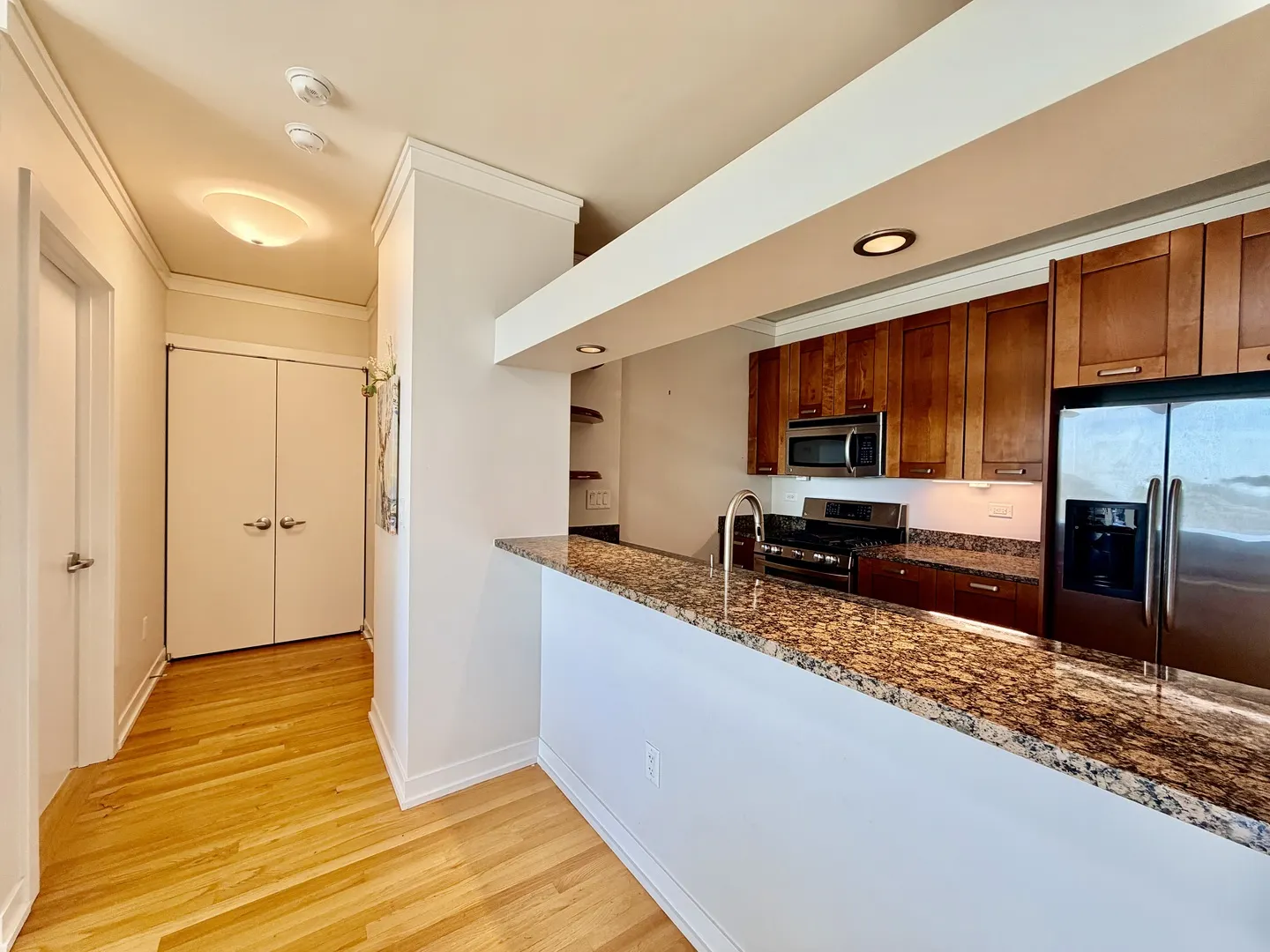 1570 ELMWOOD Avenue 802 IL